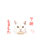 ねこのみぃみ（個別スタンプ：32）