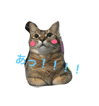 ぼんぽよむぎまる（個別スタンプ：4）