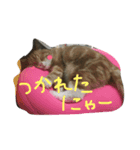 ぼんぽよむぎまる（個別スタンプ：7）