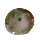 ハムスターももちゃんスタンプ（個別スタンプ：11）