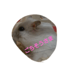 ハムスターももちゃんスタンプ（個別スタンプ：13）