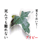 花言葉で伝えよう（個別スタンプ：3）