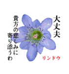 花言葉で伝えよう（個別スタンプ：6）