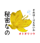 花言葉で伝えよう（個別スタンプ：10）