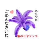 花言葉で伝えよう（個別スタンプ：14）