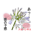 花言葉で伝えよう（個別スタンプ：15）
