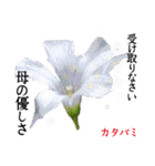 花言葉で伝えよう（個別スタンプ：17）