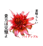 花言葉で伝えよう（個別スタンプ：18）