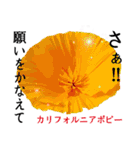 花言葉で伝えよう（個別スタンプ：21）