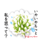 花言葉で伝えよう（個別スタンプ：27）