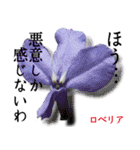 花言葉で伝えよう（個別スタンプ：31）