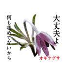 花言葉で伝えよう（個別スタンプ：32）