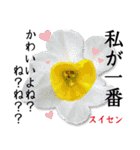 花言葉で伝えよう（個別スタンプ：38）