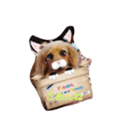 プックス犬のココちゃん「ココスタ」（個別スタンプ：15）
