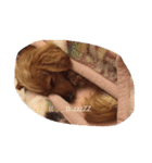 プックス犬のココちゃん「ココスタ」（個別スタンプ：19）