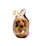 プックス犬のココちゃん「ココスタ」（個別スタンプ：28）