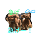 チップモコマリー（個別スタンプ：3）