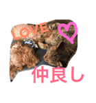 チップモコマリー（個別スタンプ：8）