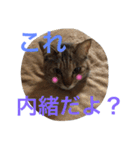 チップモコマリー（個別スタンプ：19）