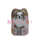 きまぐれマル（個別スタンプ：7）