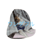きまぐれマル（個別スタンプ：8）