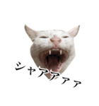 可愛すぎる！めんま＆キュゥべぇスタンプ（個別スタンプ：3）