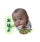 はるととわんこのスタンプ（個別スタンプ：11）