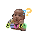 はるととわんこのスタンプ（個別スタンプ：12）