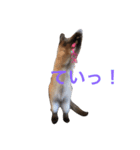 にゃんにゃんだぁ（個別スタンプ：3）