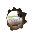 にゃんにゃんだぁ（個別スタンプ：4）
