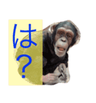 It is a stamp of the self-satisfaction.（個別スタンプ：13）