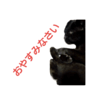 The monologue of the cat（個別スタンプ：1）