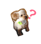我が家の愛犬！もこ＆しゅな（個別スタンプ：3）