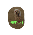 momo  vol.2（個別スタンプ：7）