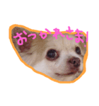 たいはなかい（個別スタンプ：7）