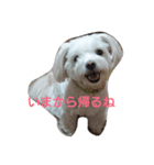 ちっぷの気持ち2（個別スタンプ：2）