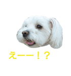 ちっぷの気持ち2（個別スタンプ：4）