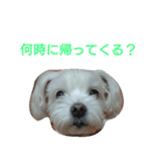 ちっぷの気持ち2（個別スタンプ：9）