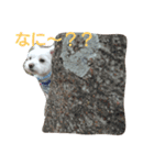 ちっぷの気持ち2（個別スタンプ：15）