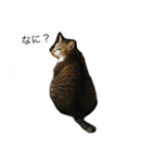そーすけ＆べりー（個別スタンプ：2）