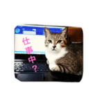そーすけ＆べりー（個別スタンプ：3）