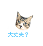 そーすけ＆べりー（個別スタンプ：5）