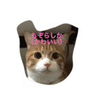 吾輩はニャンコ （家猫リコピン熊本弁）（個別スタンプ：10）