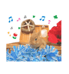 クッキーの日常(たまにチロル)（個別スタンプ：34）
