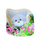 nyanchyarzu（個別スタンプ：14）
