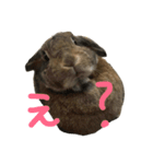 こんなロアの毎日（個別スタンプ：7）
