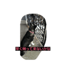 siba''mix hanachan（個別スタンプ：3）