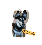 siba''mix hanachan（個別スタンプ：6）