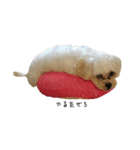 福乙女（個別スタンプ：9）