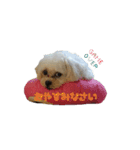 福乙女（個別スタンプ：10）